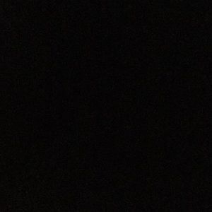 Meet your Posher, Leilani